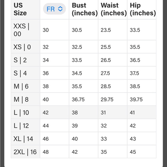 NWOT RAILS Monique Dress mermaid satin size L - Picture 13 of 13